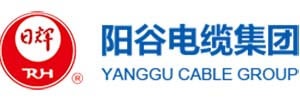 山東陽(yáng)谷電纜集團(tuán)有限公司